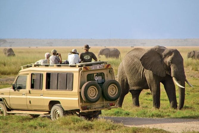 Tala Game Reserve & Natal Lion Park Tour