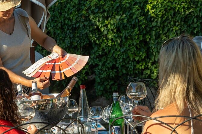 Gulf of Saint-Tropez Wine Tasting