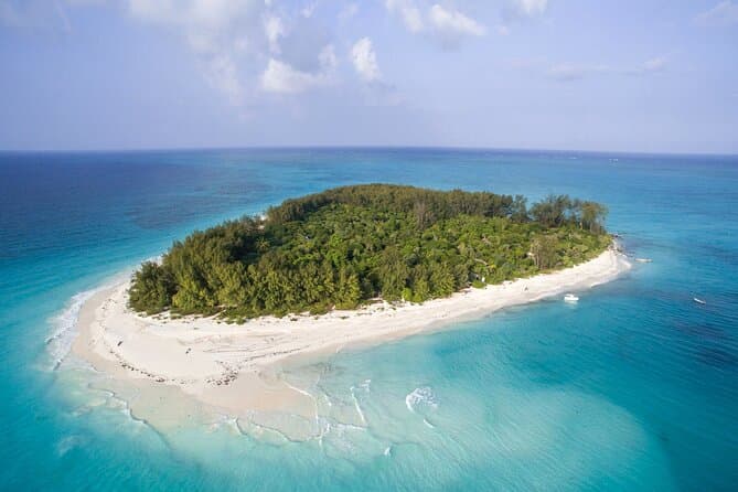 Best Mnemba Island Tour Options for Mnemba Travel