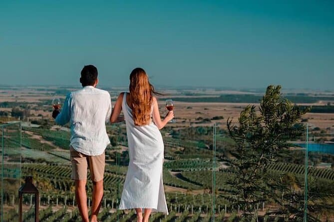 Top-Rated Viña Eden Wine Tours & Tastings