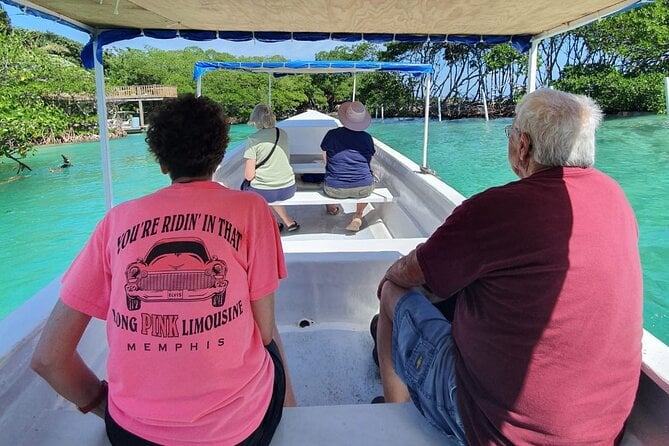 Roatan Mangrove Tunnel Tour