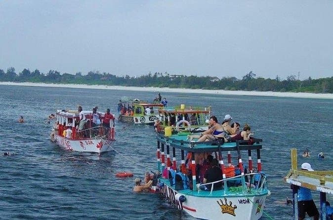 Compare Best Blue Tours in Malindi