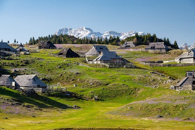 Authentic Velika Planina Shepherd's Hike Experience