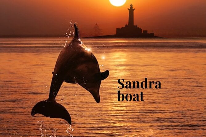 Brijuni Dolphin Cruise