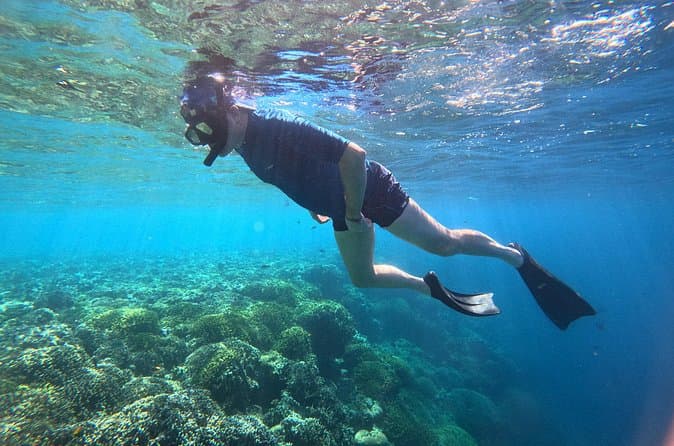 Best Manta Point Snorkeling Tours Near Ubud