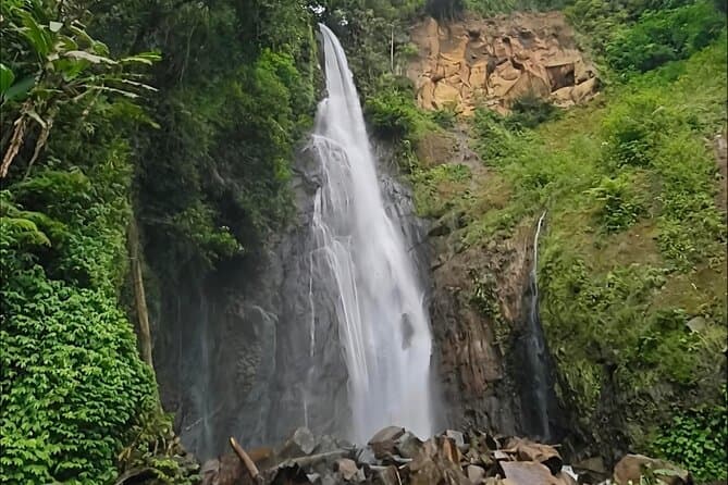Bogor Botanical Garden Tour