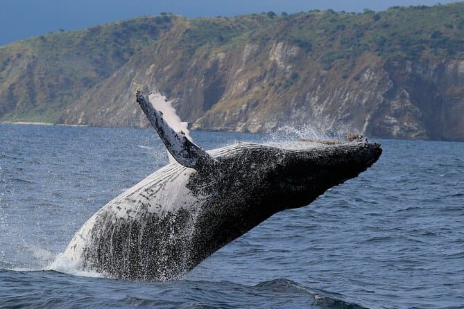 Best Machalilla National Park Experiences Near Puerto Lopez