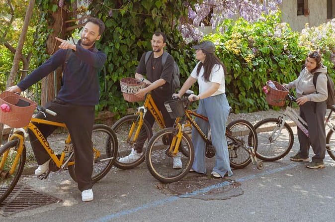Best Prince Island Biking Tour in Princes' Islands
