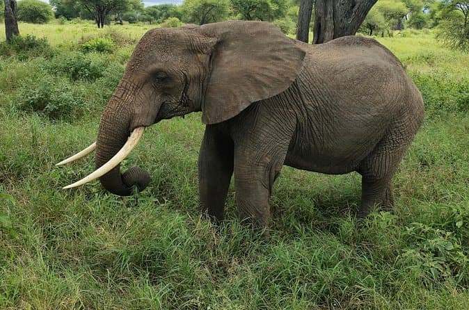 Dar Es Salaam City Tour for Morogoro Region Travelers