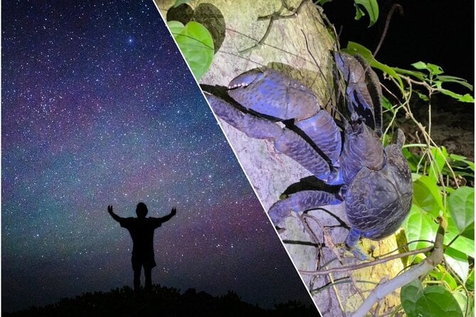 Miyako Island Jungle Night Tour