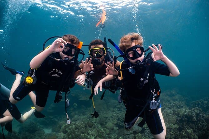 Top-Rated Muscat Dive Tours & Snorkeling