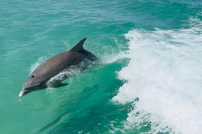 Anna Maria Island Night Paddleboard Tour