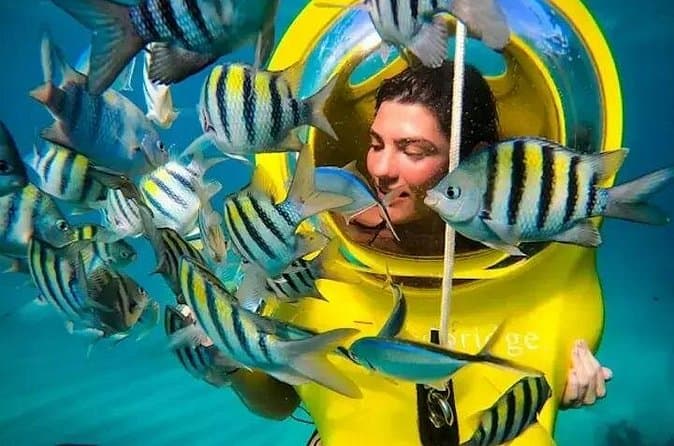 Top-Rated Scuba Doo Diving Scooters Tours