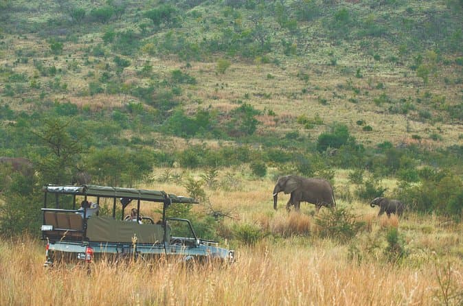 Compare Best Balule Big 5 Safaris Near Pretoria