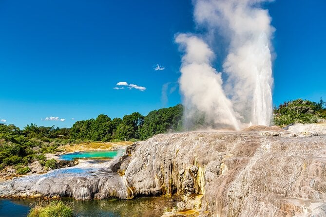 Te Puia Day Tour: Rotorua Wonders