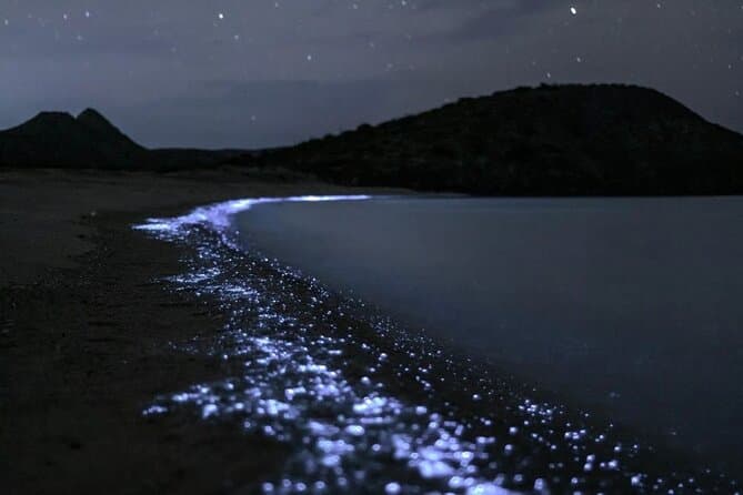 Magical Night Kayaking: Cat Ba Bioluminescent Adventure