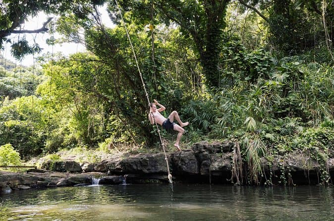 Secret Falls Kauai: Top Tours & Guides
