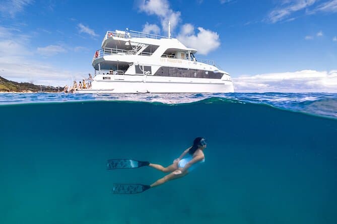 Best Moreton Island Marine Discovery Cruise in Brisbane