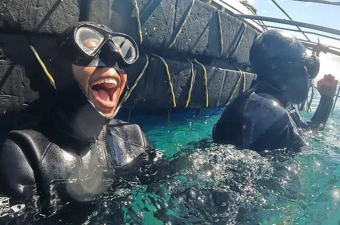 Best Rated Shark Cage Tours in Cape Town