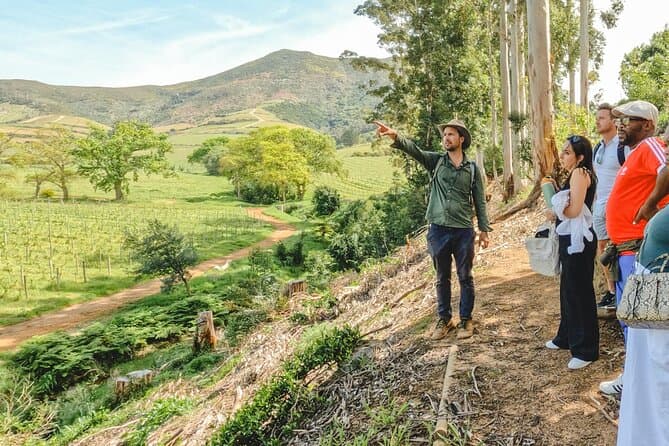 Best Constantia Wine Tours & Cape Town Tasting Experiences