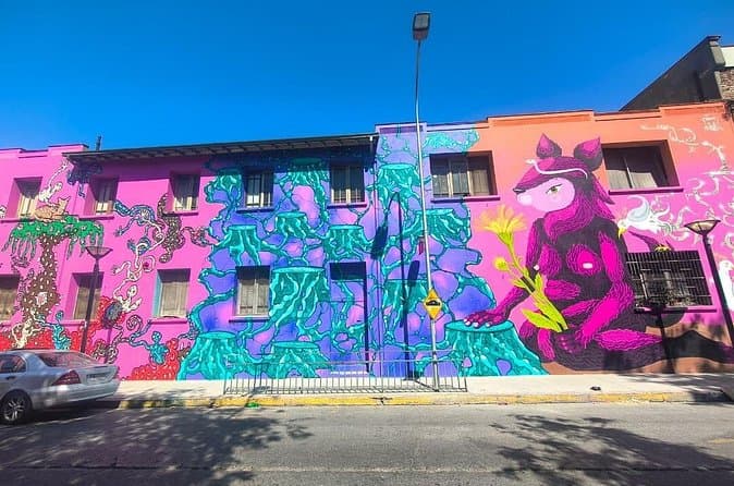 Best Yungay Neighborhood Tours in Santiago