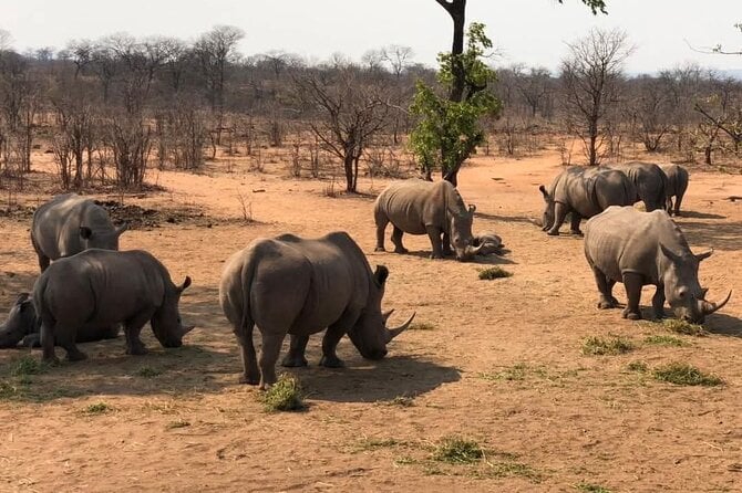 Mosi-oa-Tunya Safari