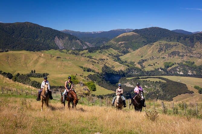 Best Auckland Horseback Tours & Rides