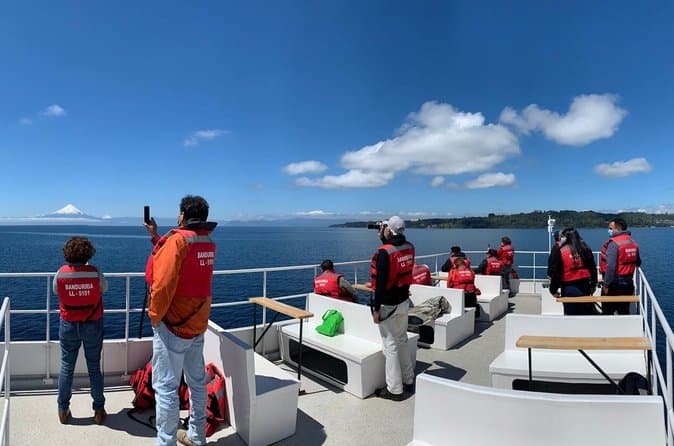 Best Llanquihue Lake Tours from Puerto Varas