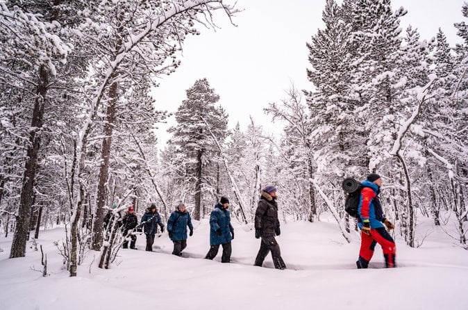 Snowshoe in Kiruna's Winter Forest