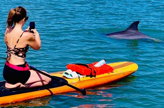 Best Daytona Beach Manatee Kayak Tours & Eco-Adventures