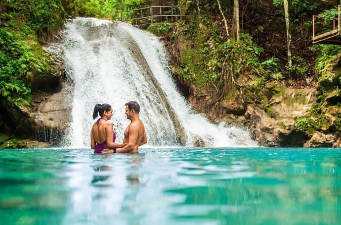 Compare Top Dunn's River Falls Tours