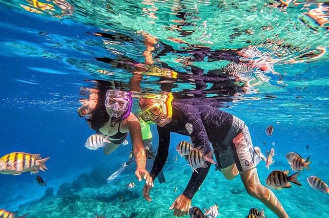 Explore Best Snorkeling Tours in Montego Bay, Jamaica