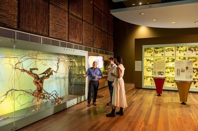 Compare Top Adelaide Hills Wine Tours