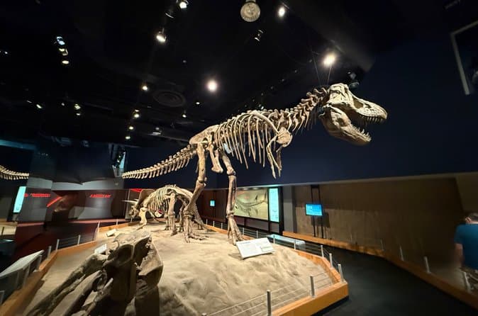Compare Top Drumheller Excursions from Calgary