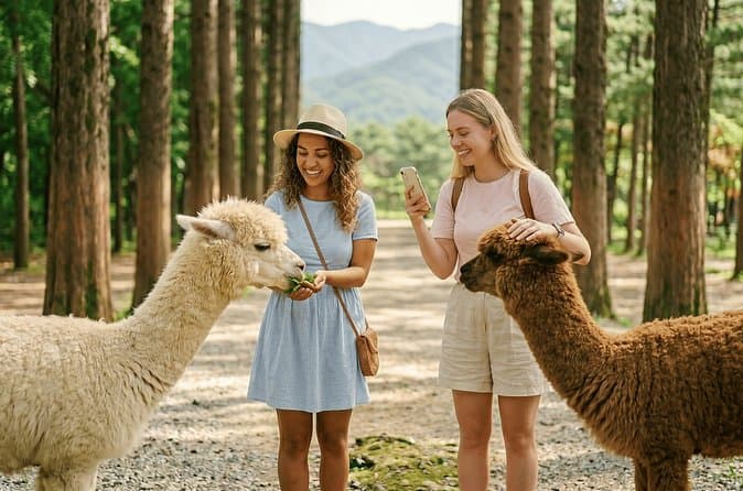 Seoul Gangchon Rail Bike: Top Tours & Deals