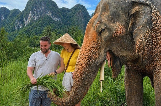 Koh Samui Elephant Sanctuary Tours
