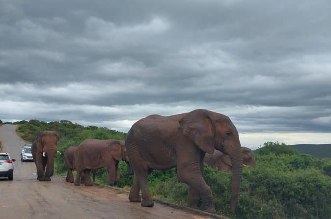 Best Garden Route Tours in Durban