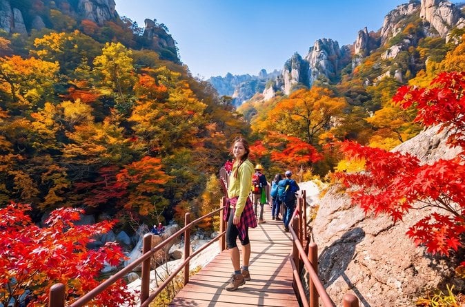 Nami Island & Garden of Morning Calm Tour
