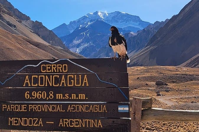 Aconcagua Classic Tour in Mendoza Province Guide