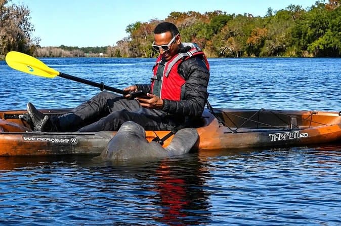 Crystal River Manatee Swim Tours