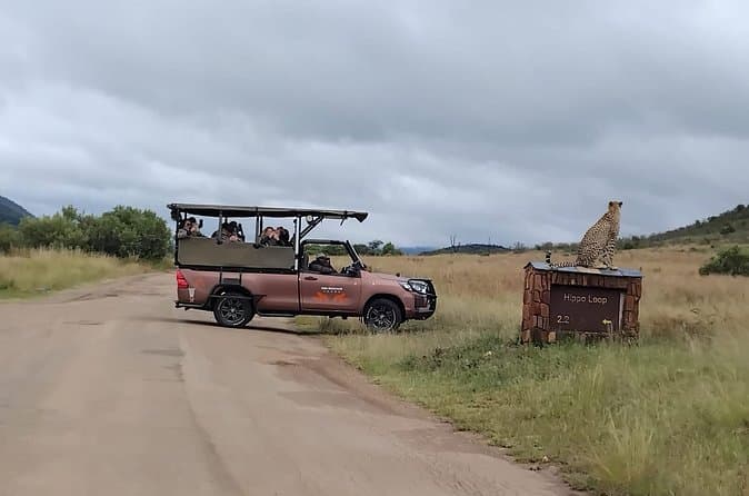 Chobe National Park Safari from North West Guide