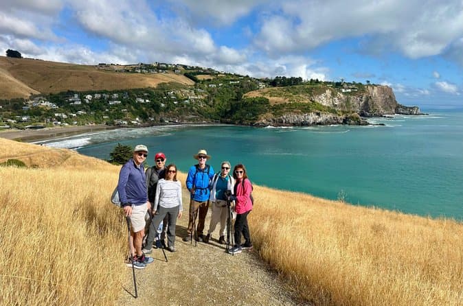 Godley Head Coastal Tours & Experiences