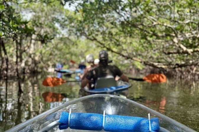 Best Clear Kayak Tours in Miami | Compare Options