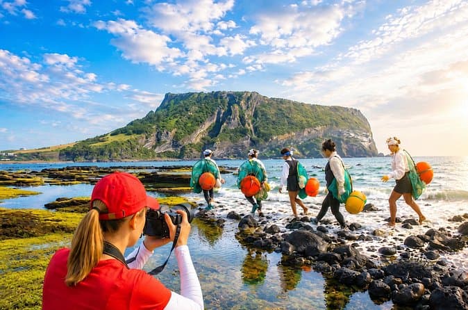 Compare Top-Rated Private Tours in Jeju