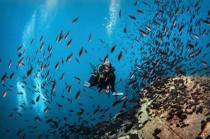 Dive Diaporos Island