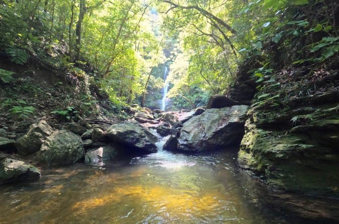 Best Yanbaru River Trekking Tours Near Naha