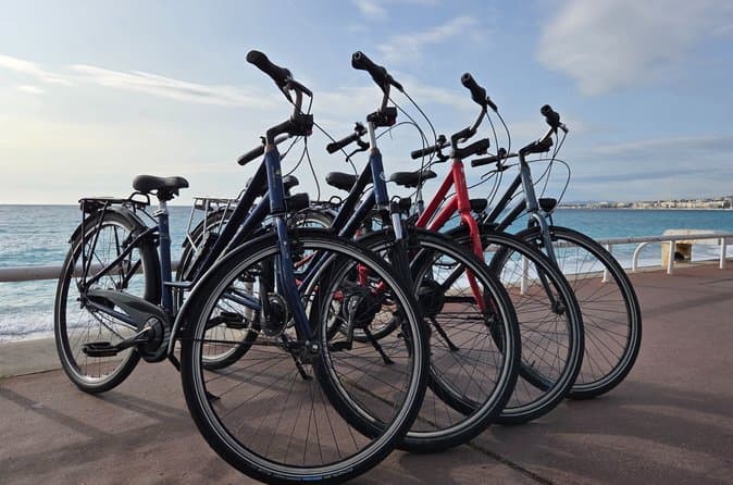 Best Nice Bike Tours & Rentals Compared