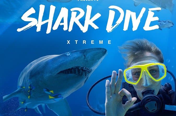 Top-Rated Shark Diving Tours in Melbourne