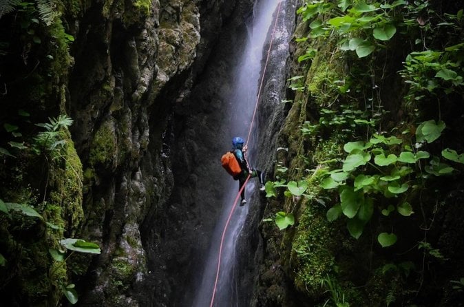 Batumi to Martvili Canyon Tour