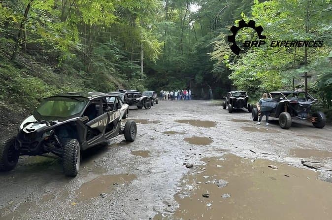 Hatfield McCoy Trails: ATV Tours & Adventures